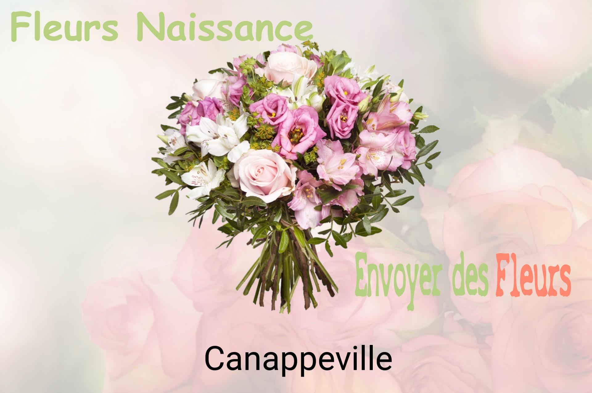 Bouquet de fleurs de naissance livré à Canappeville